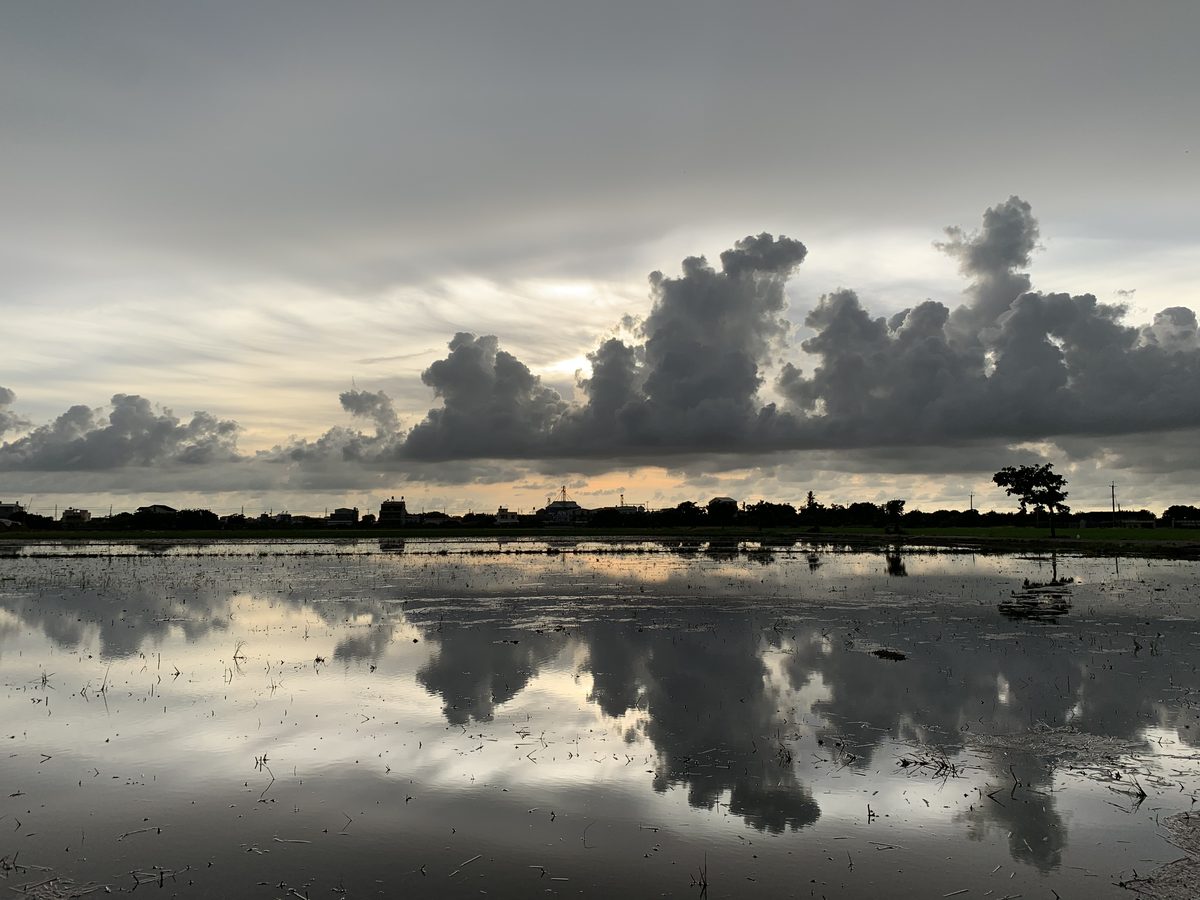 雨前的天空與水田